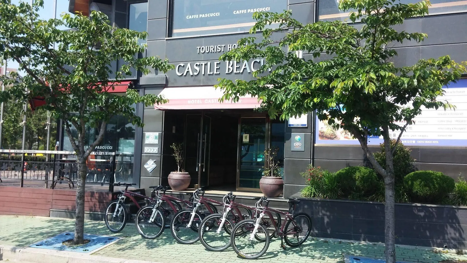 Hotel Castle Beach Busan